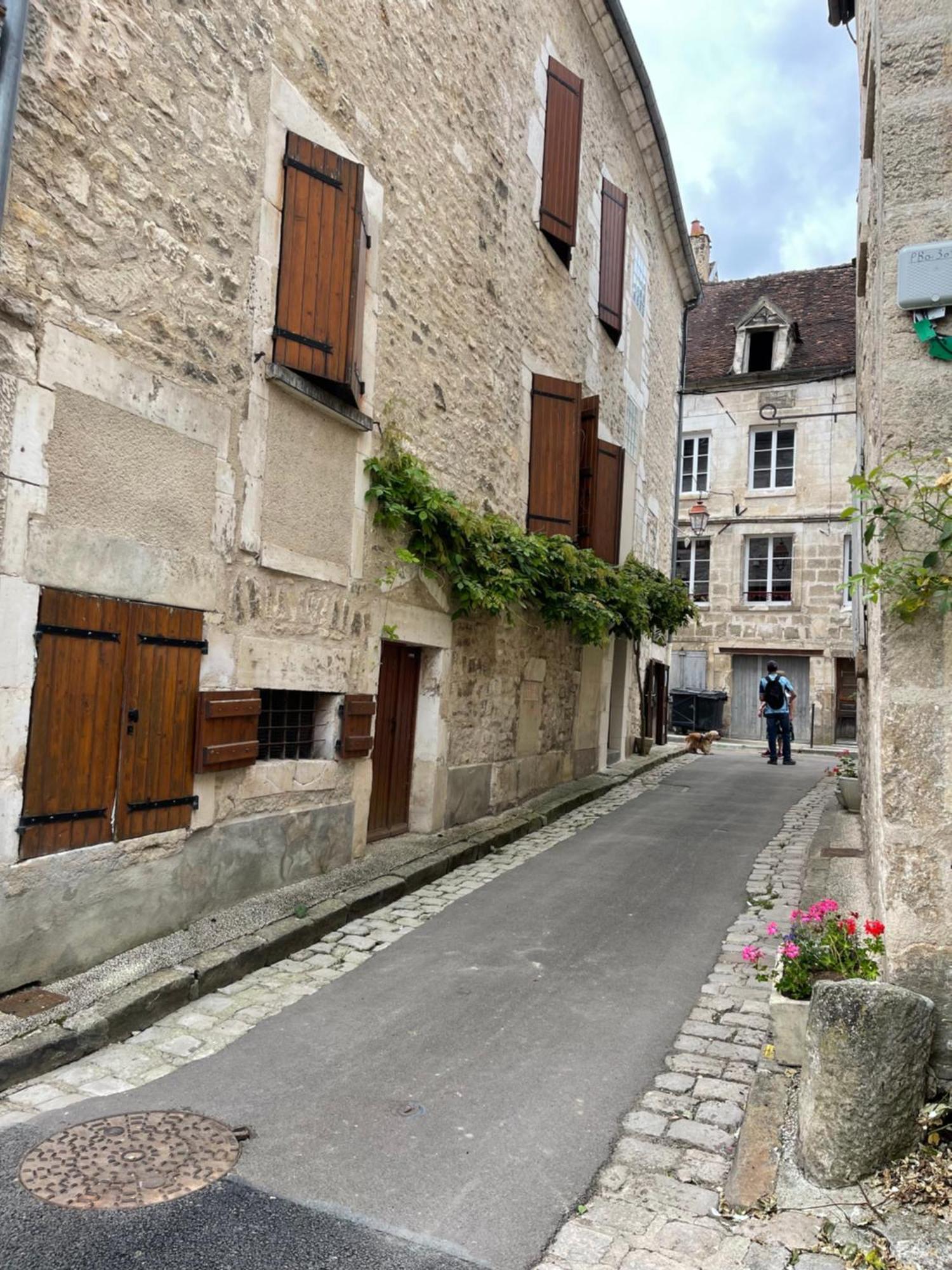 La Maison D'Alienor - Gites De Caractere A Chablis - 89 Exteriör bild
